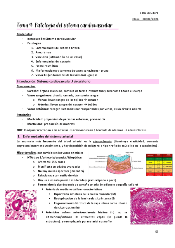 Miniatura del documento TEMA-9-cardiovascular.pdf