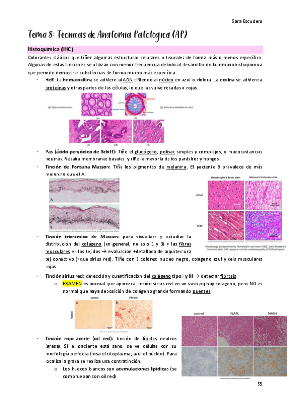 Miniatura del documento TEMA-8.pdf