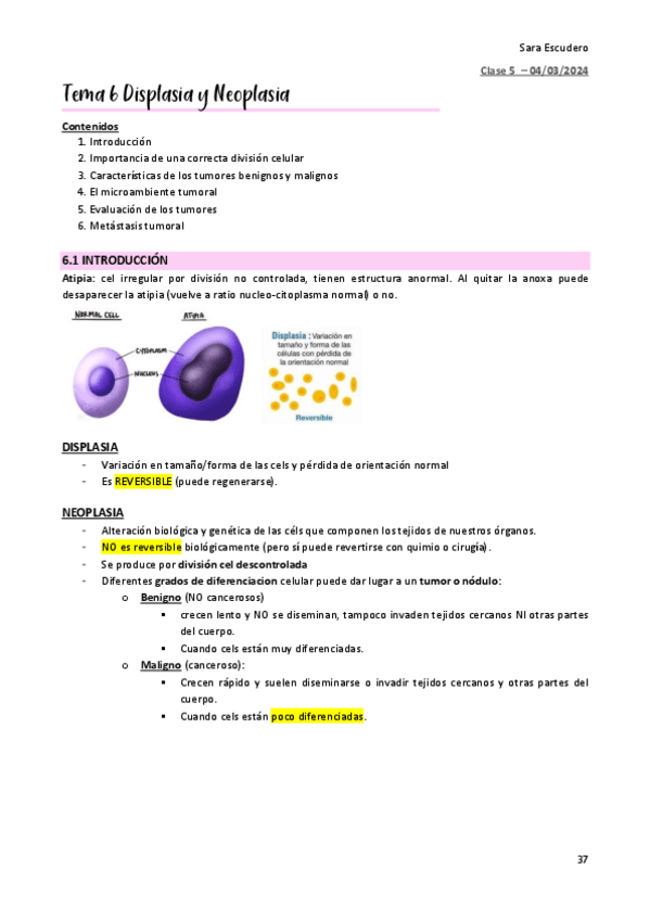 Miniatura del documento TEMA-6.pdf