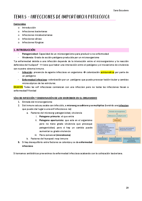 Miniatura del documento TEMA-5.pdf