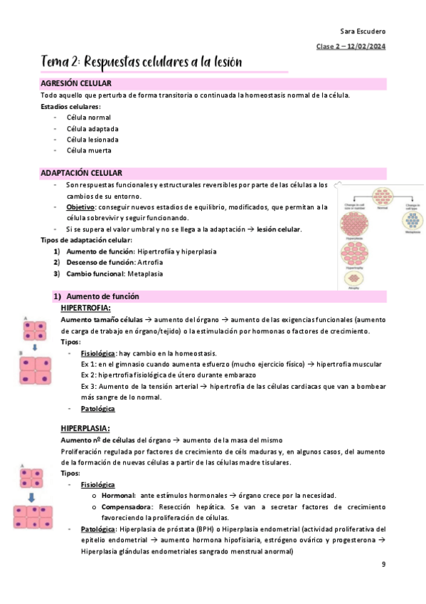 Miniatura del documento TEMA-2.pdf
