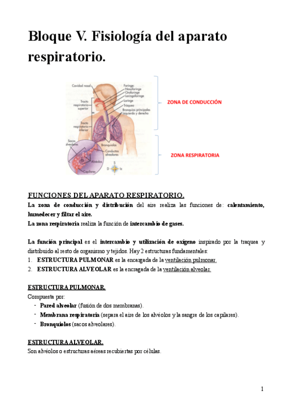 Miniatura del documento Bloque-V.-Fisiologia-del-aparato-respiratorio..pdf