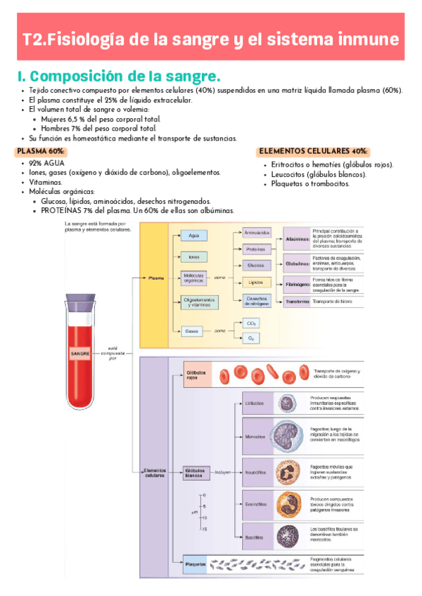 Miniatura del documento T2-FISIO.pdf