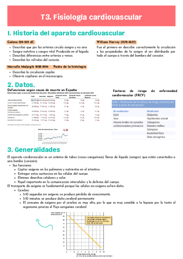 Miniatura del documento T3-FISIO.pdf