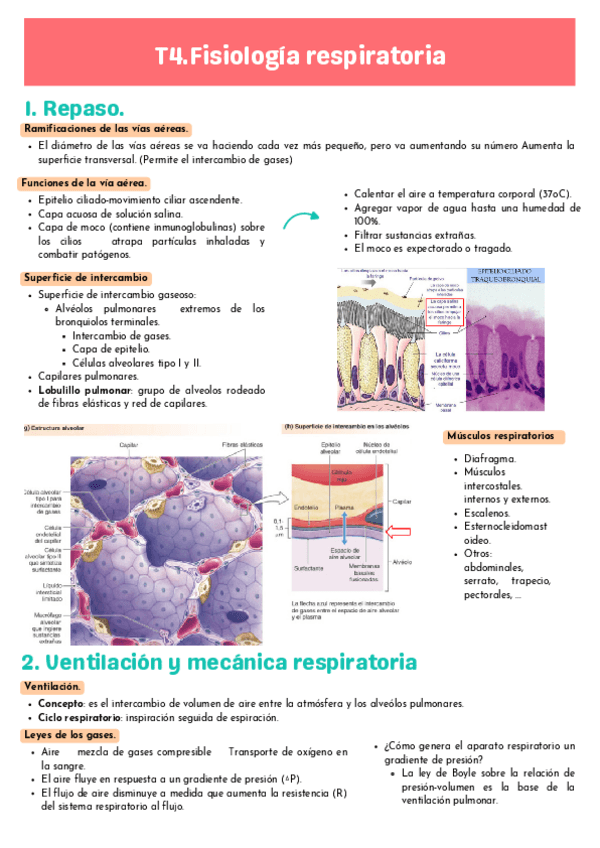 Miniatura del documento T4-FISIO.pdf