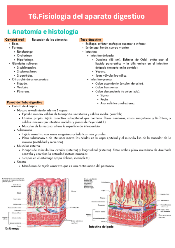 Miniatura del documento T6-FISIO.pdf
