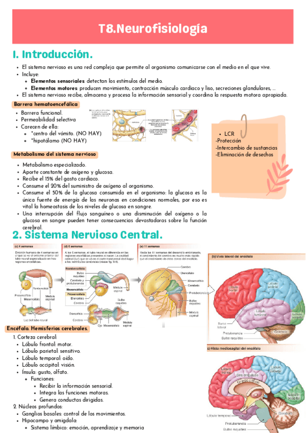 Miniatura del documento T8-FISIO-1.pdf