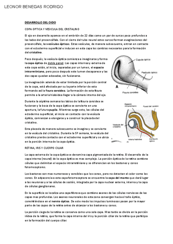 Miniatura del documento EMBRIOLOGIA-OJO.pdf