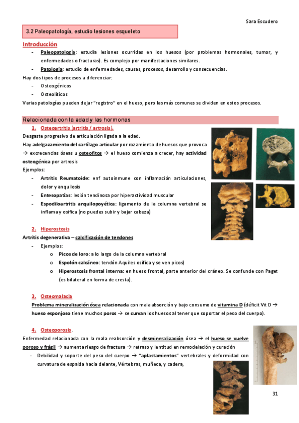Miniatura del documento 3.2.pdf