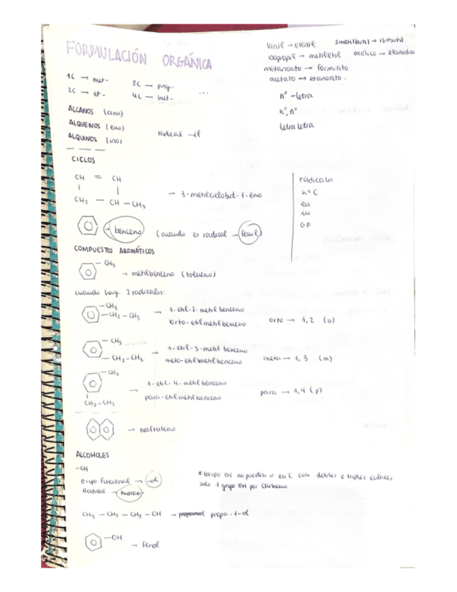 Miniatura del documento resumencito-formulacion.pdf