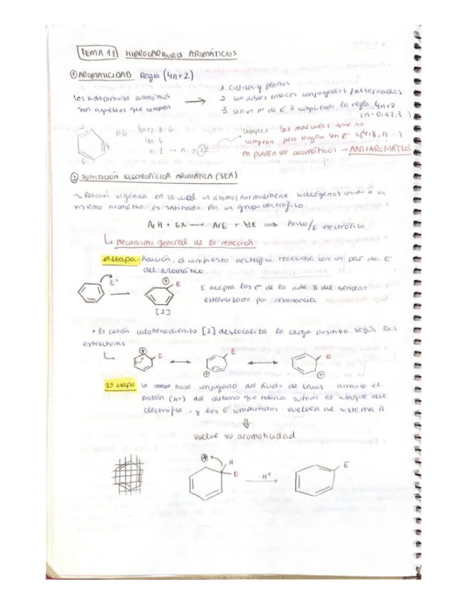 Miniatura del documento tema-11.pdf