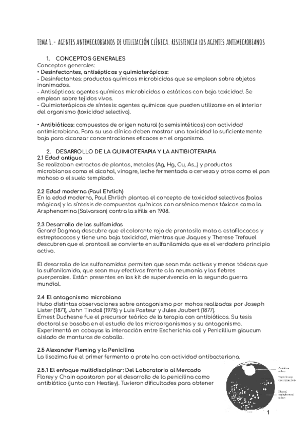 Miniatura del documento TEMA-1.-AGENTES-ANTIMICROBIANOS-DE-UTILIZACION-CLINICA.-RESISTENCIA-LOS-AGENTES-ANTIMICROBIANOS.pdf