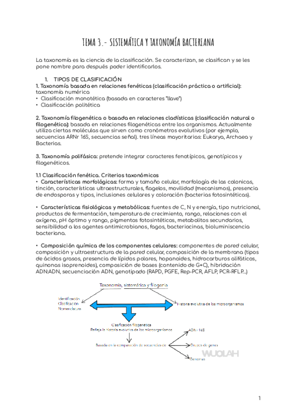 Miniatura del documento TEMA-3.-SISTEMATICA-Y-TAXONOMIA-BACTERIANA.pdf