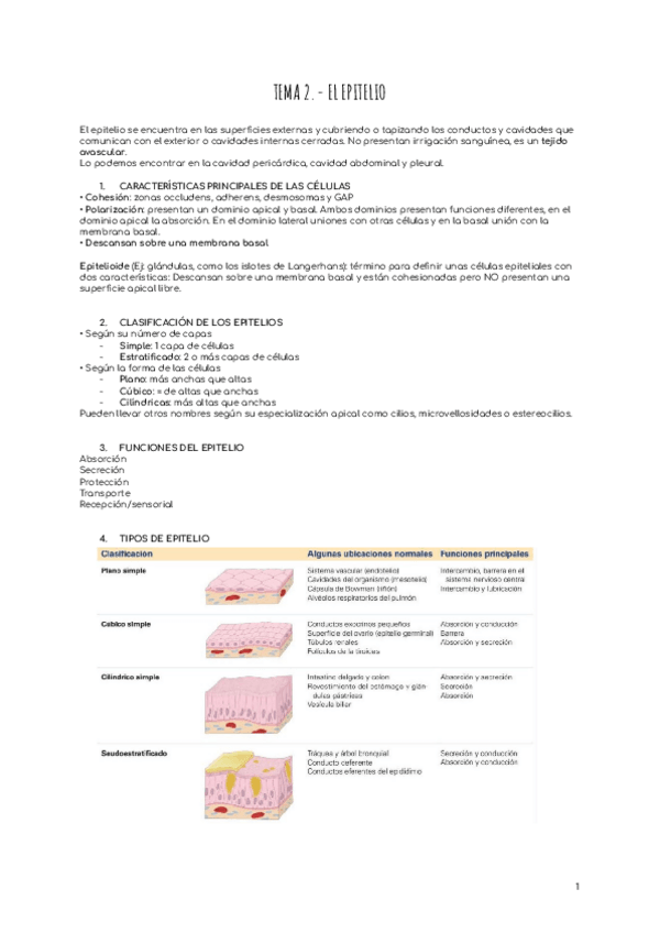 Miniatura del documento TEMA-2.-EL-EPITELIO.pdf