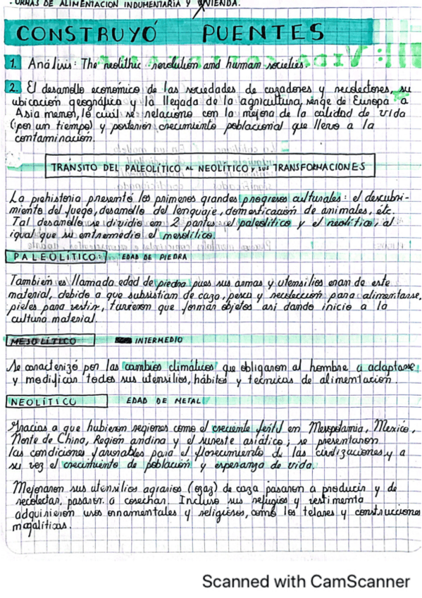 Miniatura del documento HistCulturaPaleolitico-a-NeoliticoSalr.pdf