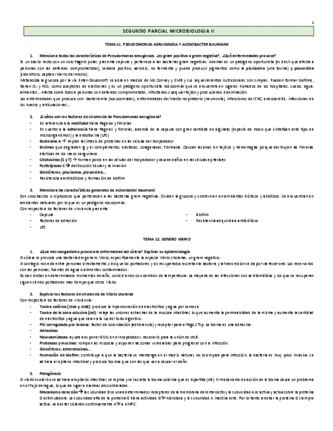 Miniatura del documento preguntas-segundo-parcial.pdf