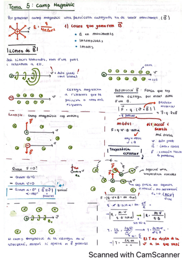 Miniatura del documento Tema-5-Camp-Magnetic.pdf