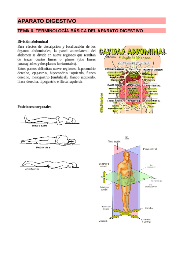 Miniatura del documento apuntes-digestivo.pdf