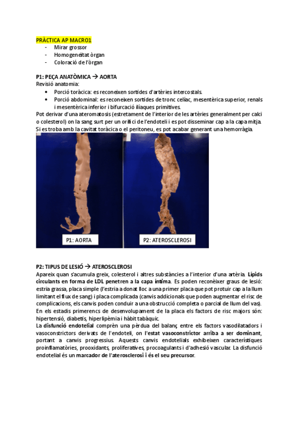 Miniatura del documento Imagenes-anatomia-patologica-MACROSCOPICAS-I.pdf