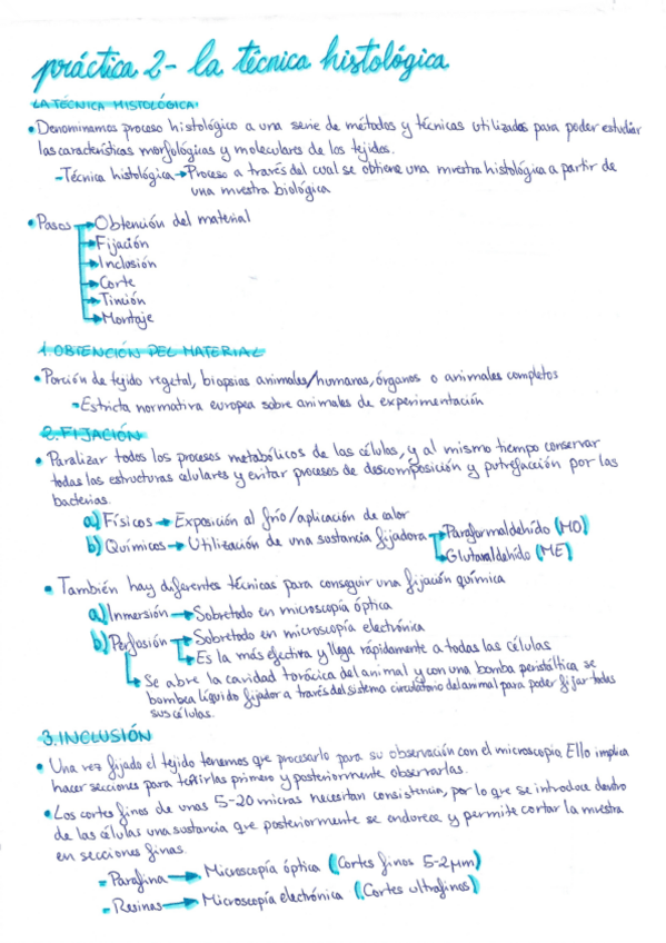Miniatura del documento Practica-2-La-tectina-histologica.pdf
