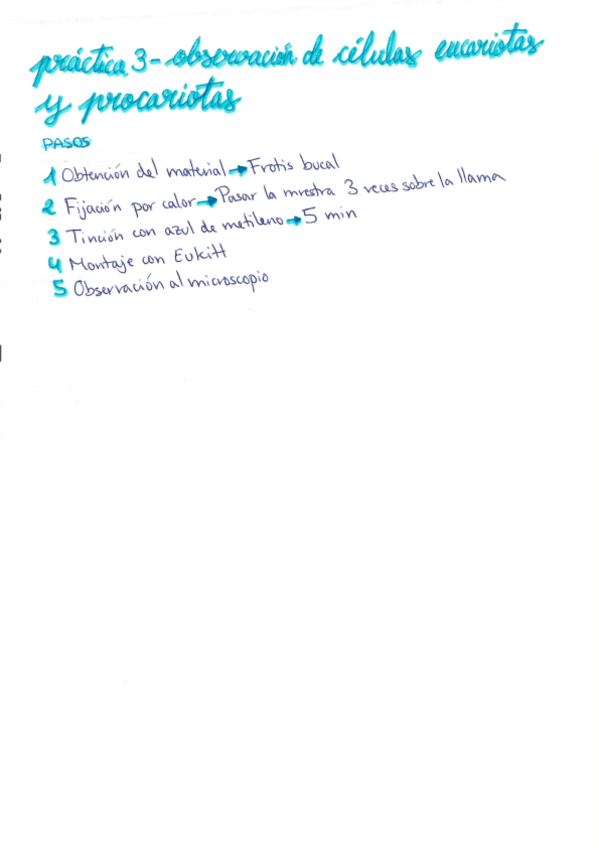 Miniatura del documento Practica-3-Observacion-de-celulas-eucariotas-y-procariotas.pdf