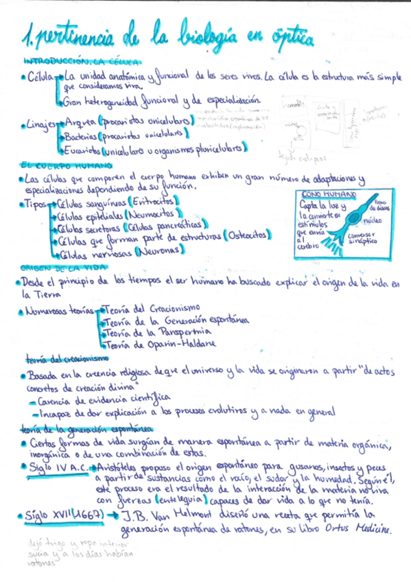 Miniatura del documento Tema-1-Pertinencia-de-la-biologia-en-optica.pdf