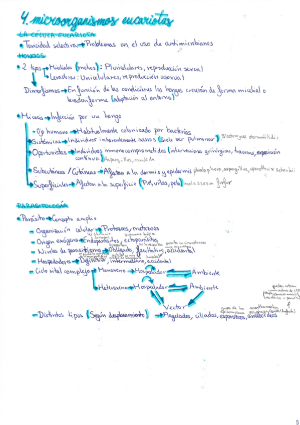 Miniatura del documento Tema-4-Microorganismos-eucariotas.pdf