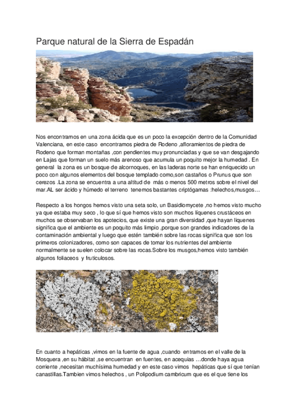 Miniatura del documento Documento-sin-titulo-23.docx