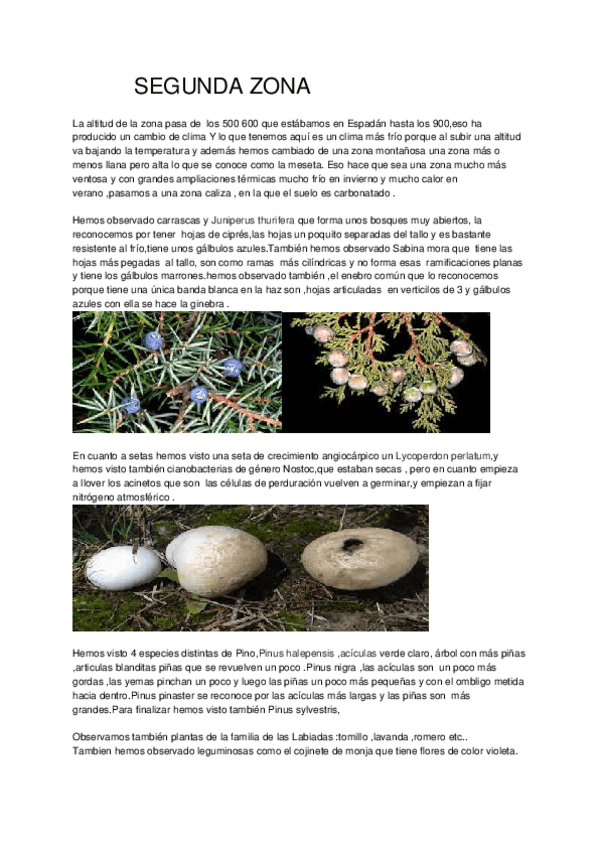 Miniatura del documento Documento-sin-titulo-22.docx