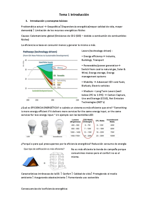 Miniatura del documento Tema-1-Introduccion.pdf
