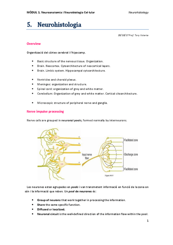 Miniatura del documento TEMA-5.1-Histologia-incompleto.pdf