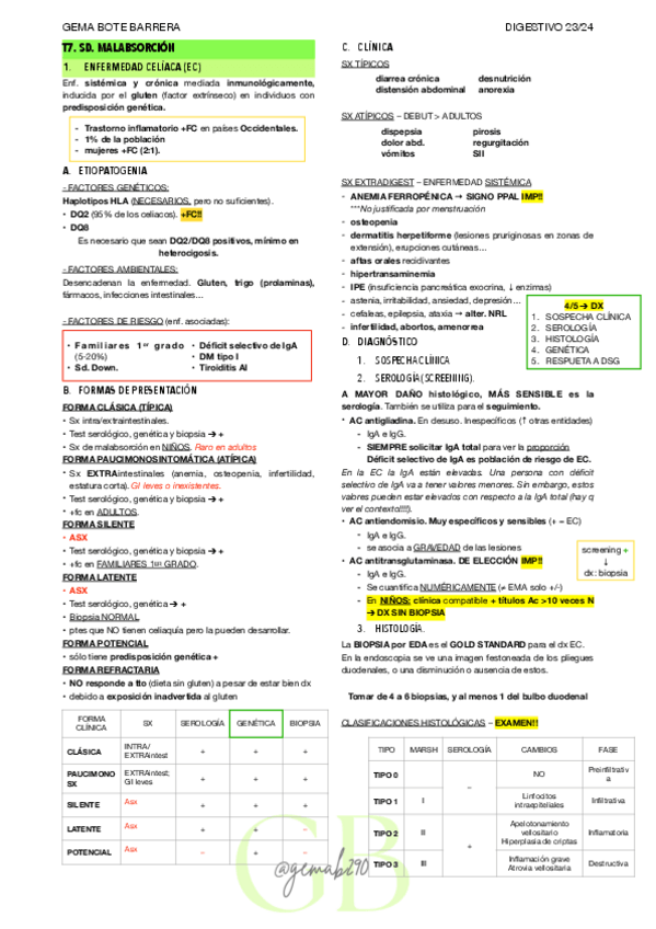 Miniatura del documento RESUMEN-T7-DIGEST.pdf