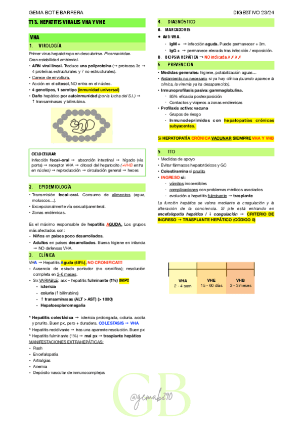 Miniatura del documento RESUMEN-T13-DIGEST.pdf