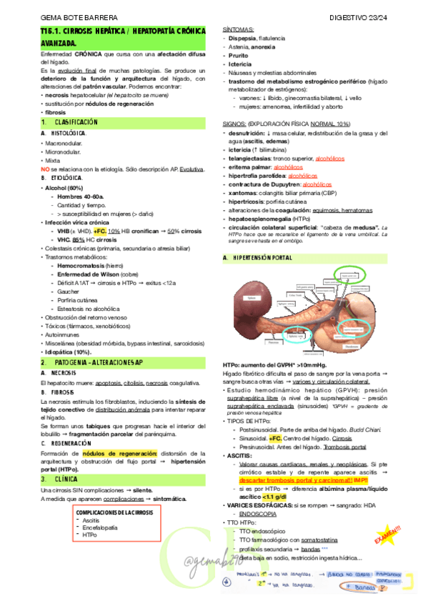 Miniatura del documento RESUMEN-T15.1-DIGEST.pdf