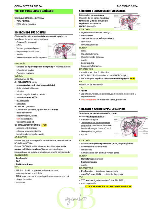 Miniatura del documento RESUMEN-T18-DIGEST.pdf