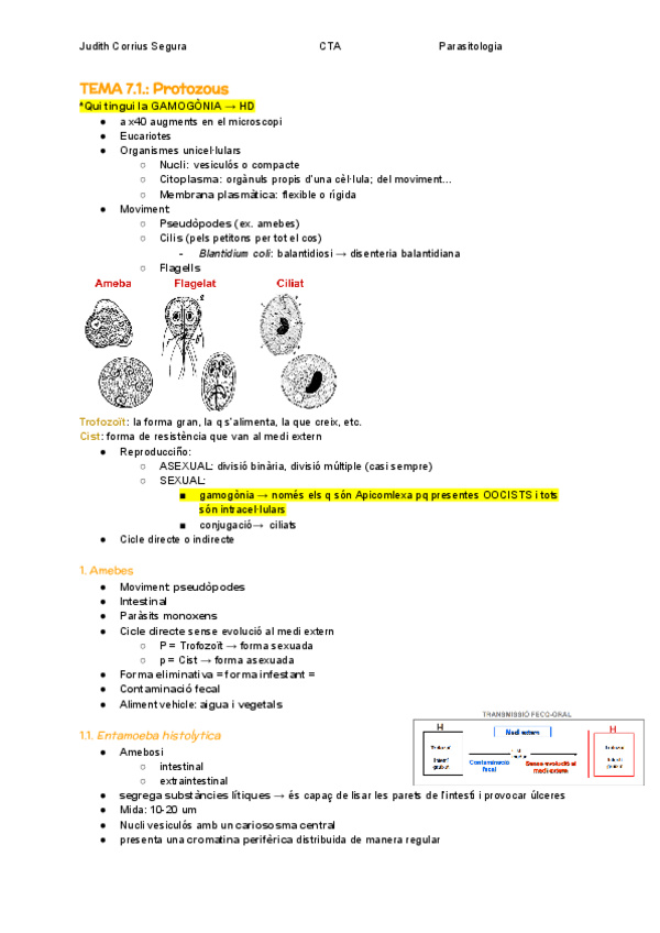 Miniatura del documento TEMA-7.1.-Protozous.pdf