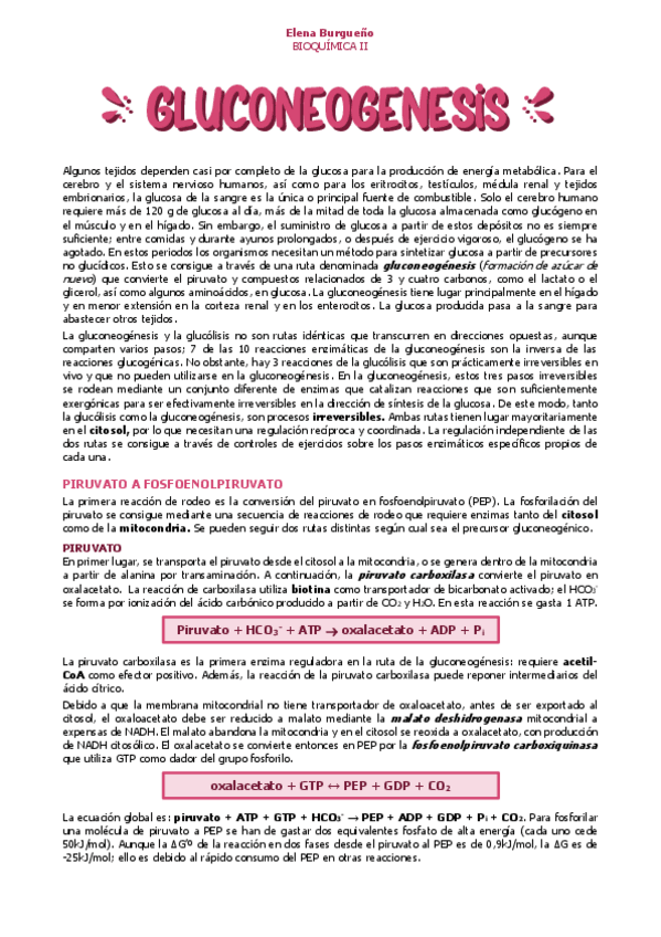 Miniatura del documento 13.-GLUCONEOGENSIS.pdf