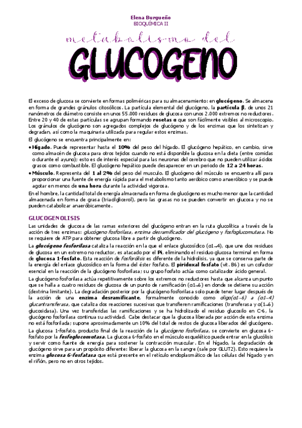 Miniatura del documento 14.-METABOLISMO-DEL-GLUCOGENO.pdf