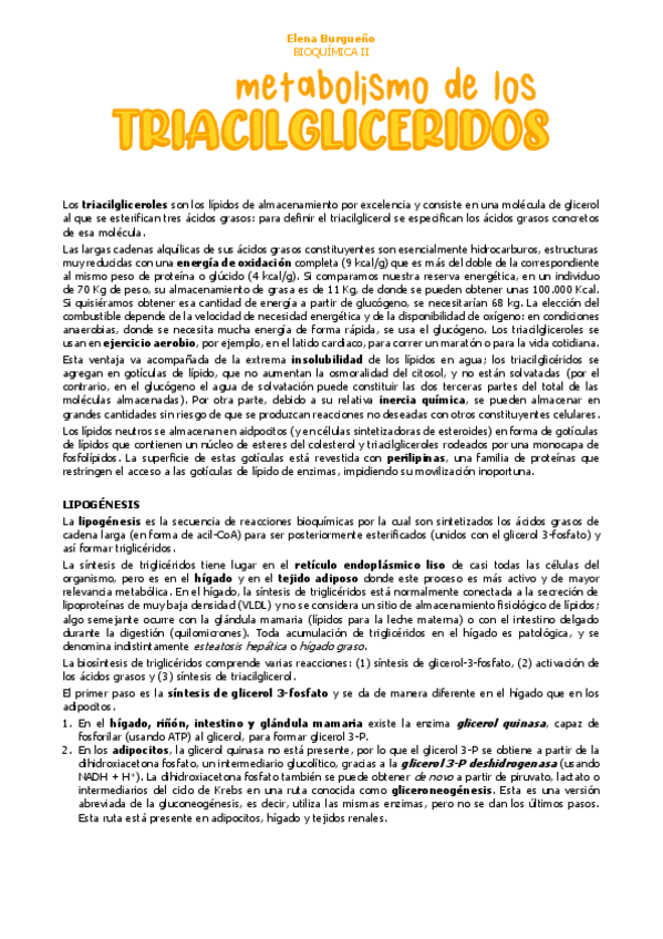 Miniatura del documento 17.-METABOLISMO-de-triacilgliceridos.pdf