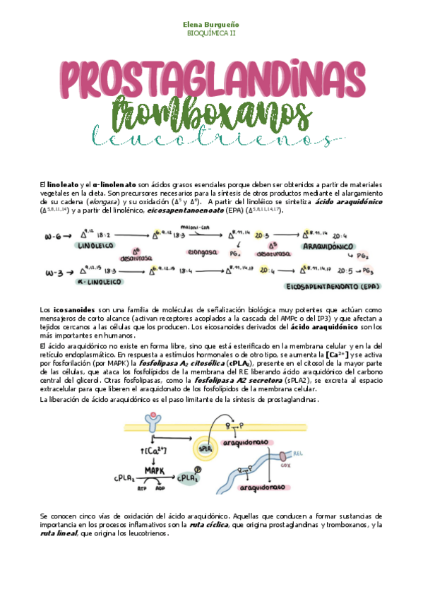 Miniatura del documento 20.-PROSTAGLANDINAS-TROMBOXANOS-Y-LEUCOTRIENOS.pdf