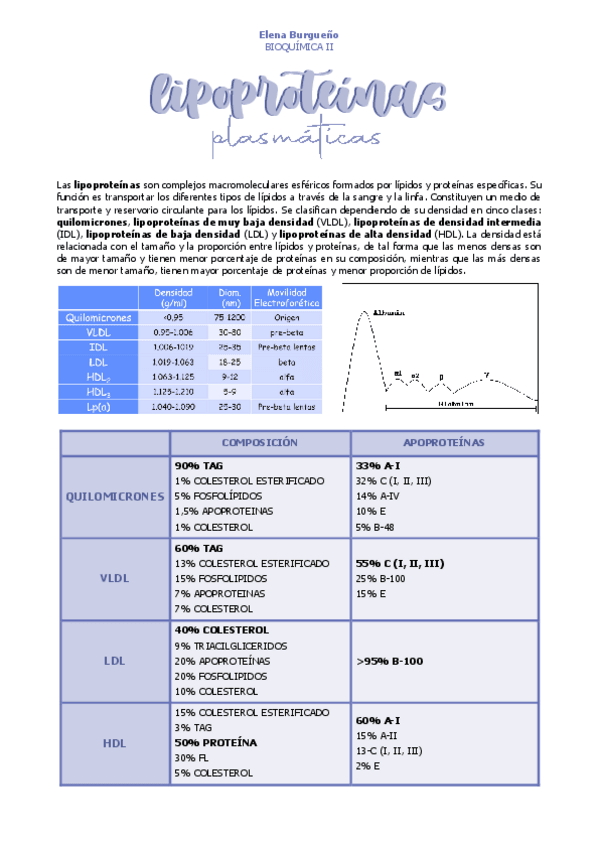 Miniatura del documento 22.-LIPOPROTEINAS-PLASMATICAS.pdf