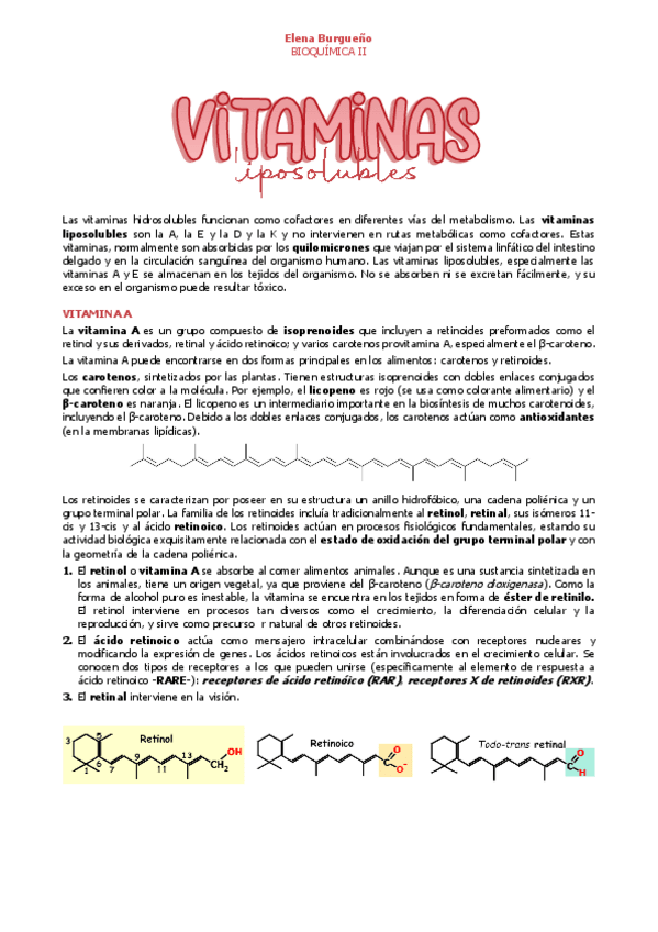 Miniatura del documento 23.-VITAMINAS.pdf