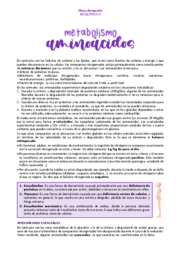 Miniatura del documento 24.-AMINOACIDOS.pdf