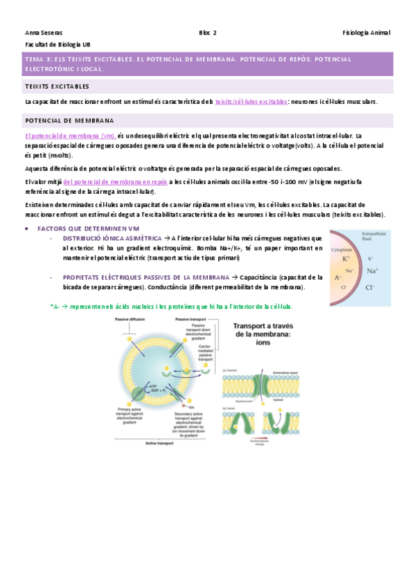 Miniatura del documento Bloc-2Excitabilitat-cellular-transduccio-i-transmissio-de-senyals.pdf