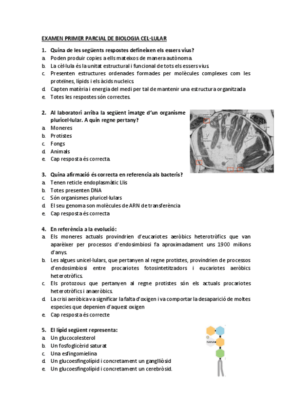 Miniatura del documento EXAMEN PRIMER PARCIAL DE BIOLOGIA CEL.pdf