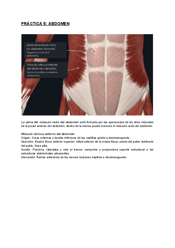 Miniatura del documento PRACTICA-5.pdf