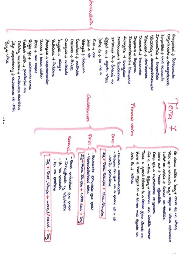 Miniatura del documento Temario-completo-esquemas.pdf