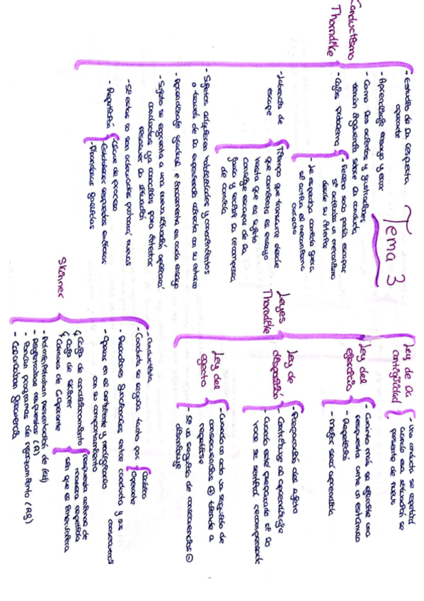 Miniatura del documento Tema-3-esquemas.pdf
