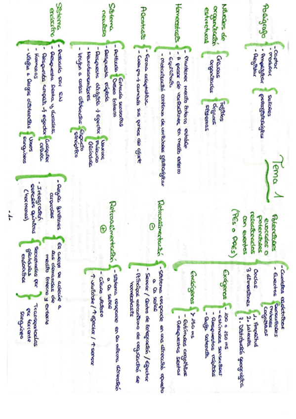 Miniatura del documento Tema-1-esquemas.pdf