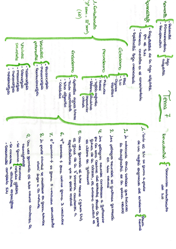 Miniatura del documento Tema-7-esquemas.pdf